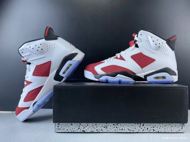 Rep RETRO 6 AIR 384664-160 2014 'CARMINE' JORDAN 0729